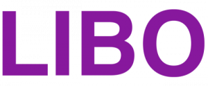 LIBO COSMETICS CO LTD